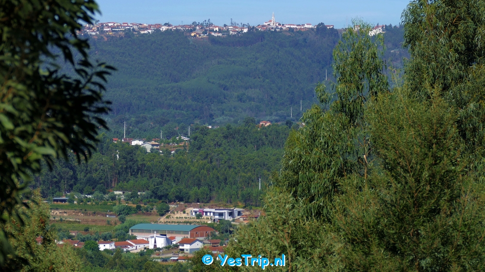 xxx From Senhor da Serra to Serpins